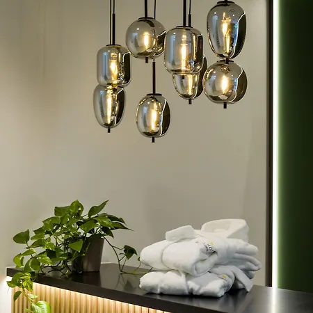 Western Parkhotel Hagenberg فندق 4*