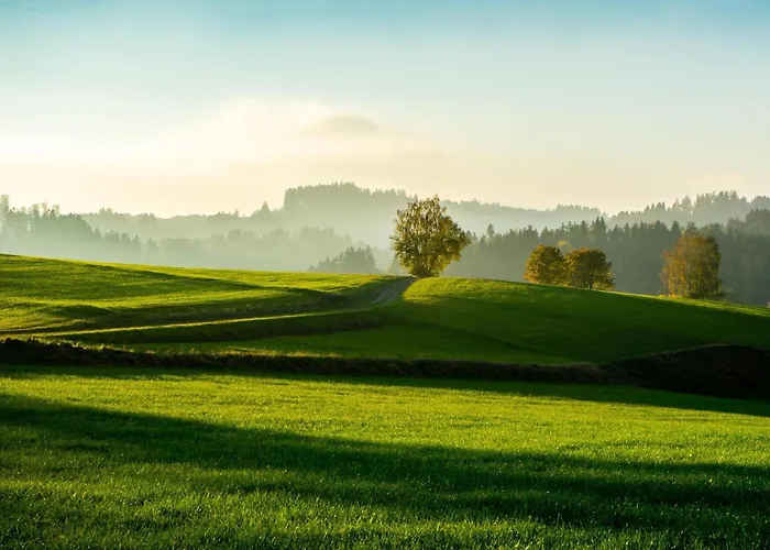 Western Parkhotel Hagenberg فندق